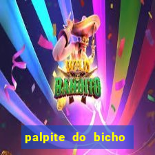 palpite do bicho deu no poste